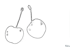 cherry Coloring Pages To Print